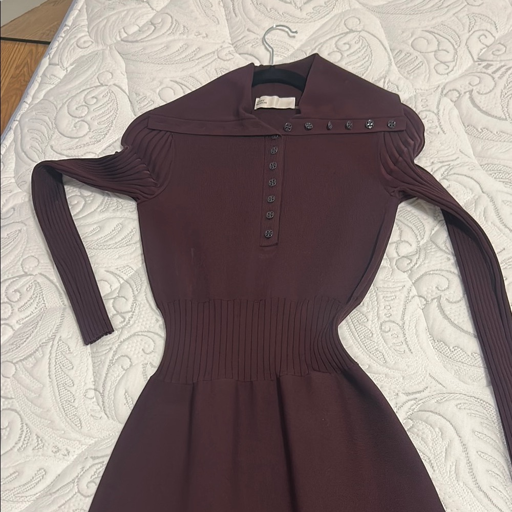 Elegant Burgundy Dress
